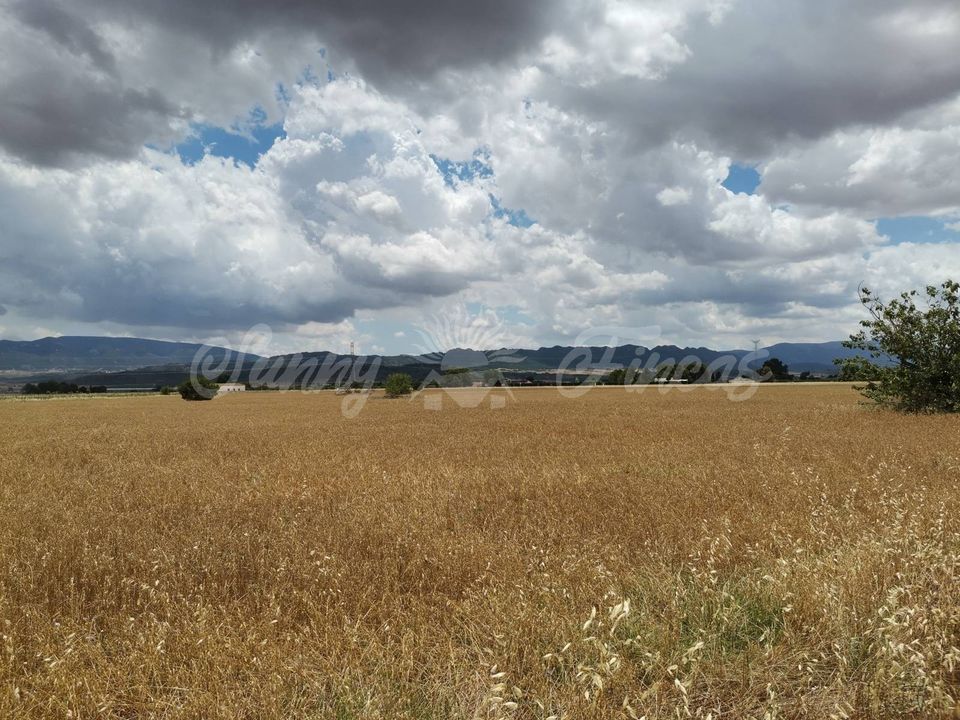 Helårsgrund i Yecla, Murcia - foto 4